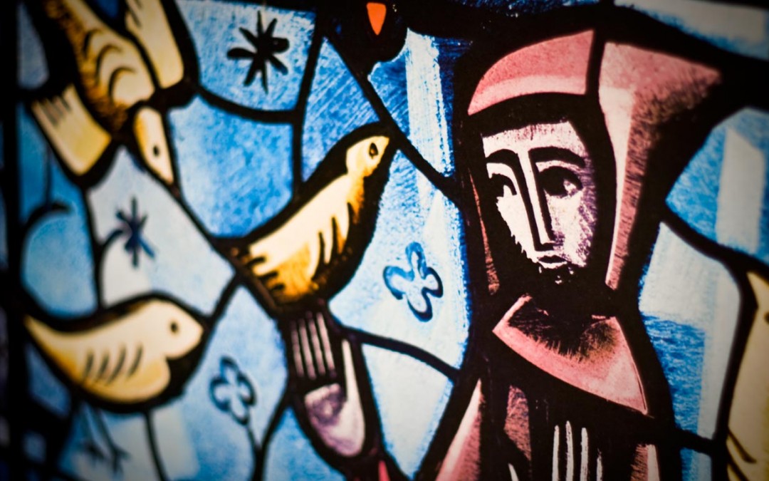 Laudato si‘