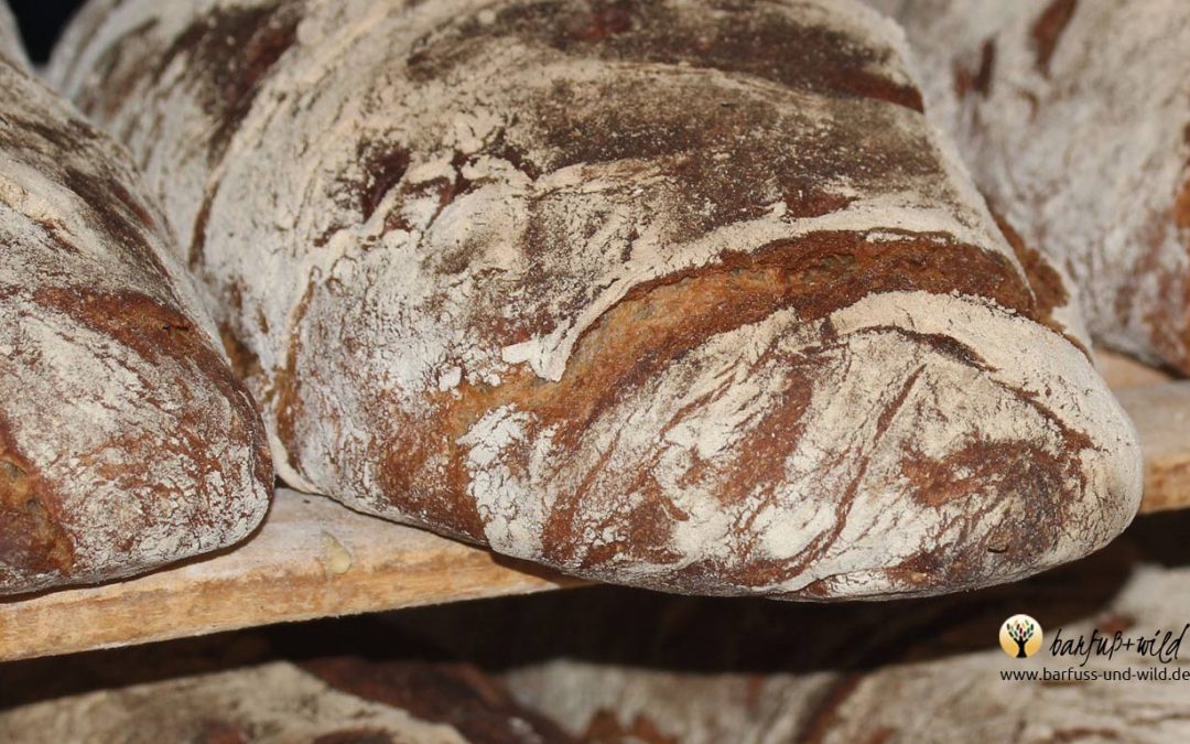 Lebendiges Brot