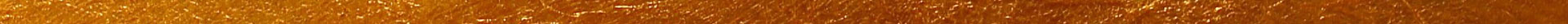 200411_E0027_GOLD-TRENNER_1920x30