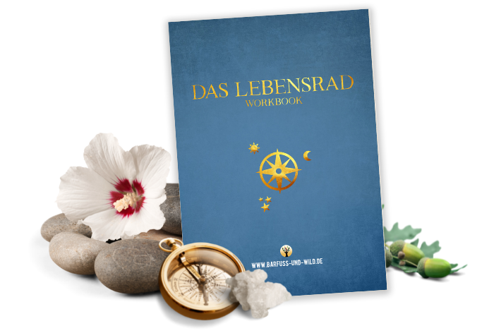 202105 Lebensrad - Workbook 700
