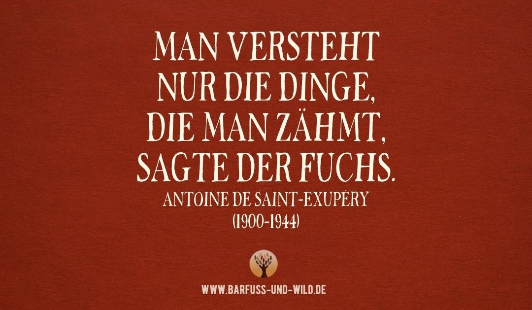 Wie Du echte Gemeinschaft erfahren kannst …  [PODCAST #31]