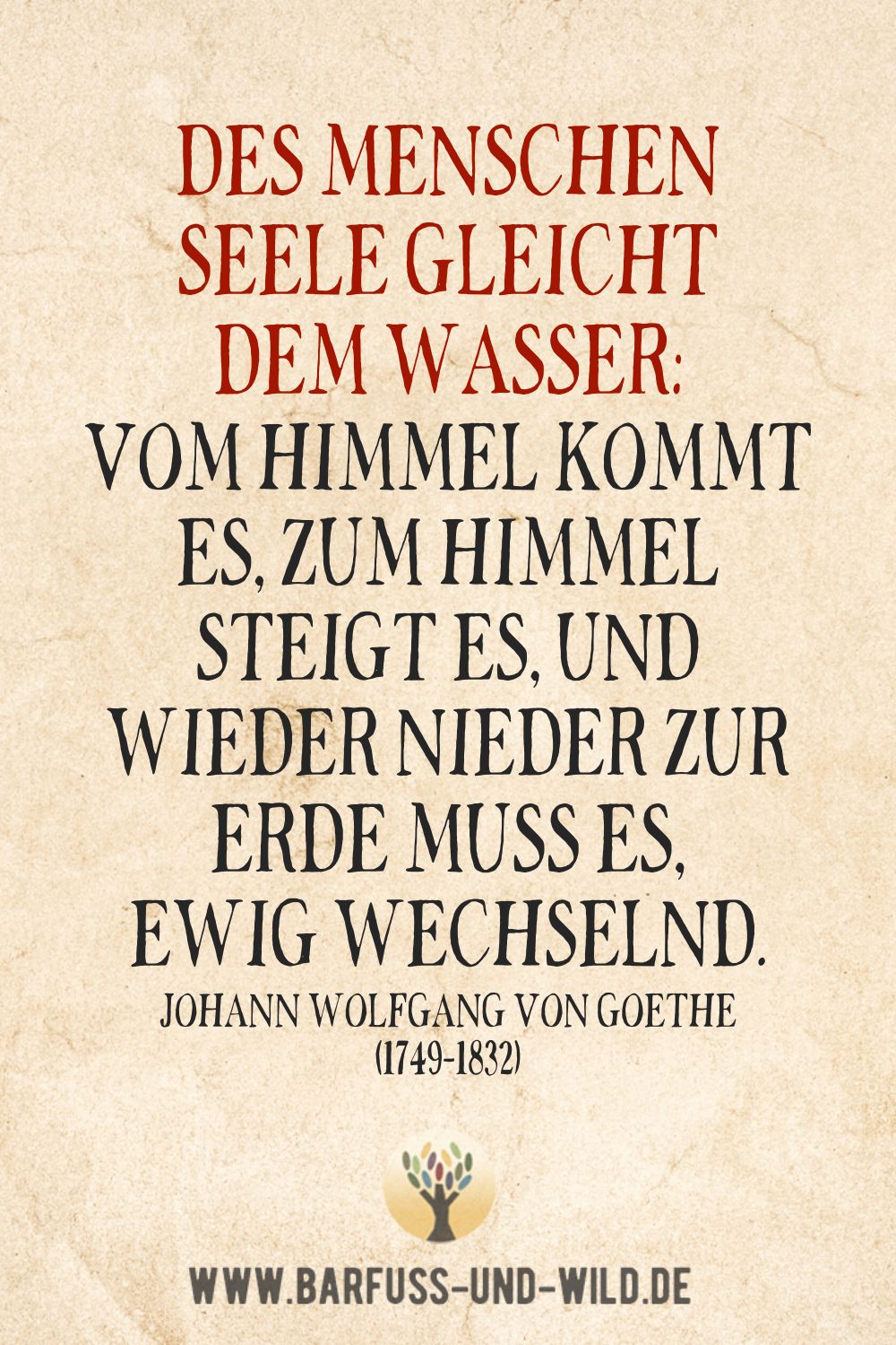 Seelenfutter Bildtafel