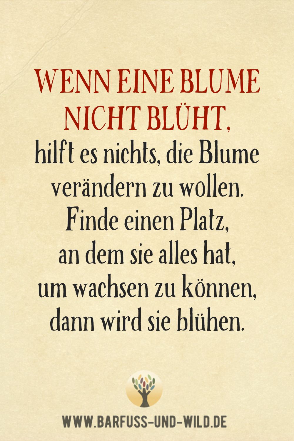 Seelenfutter Bildtafel