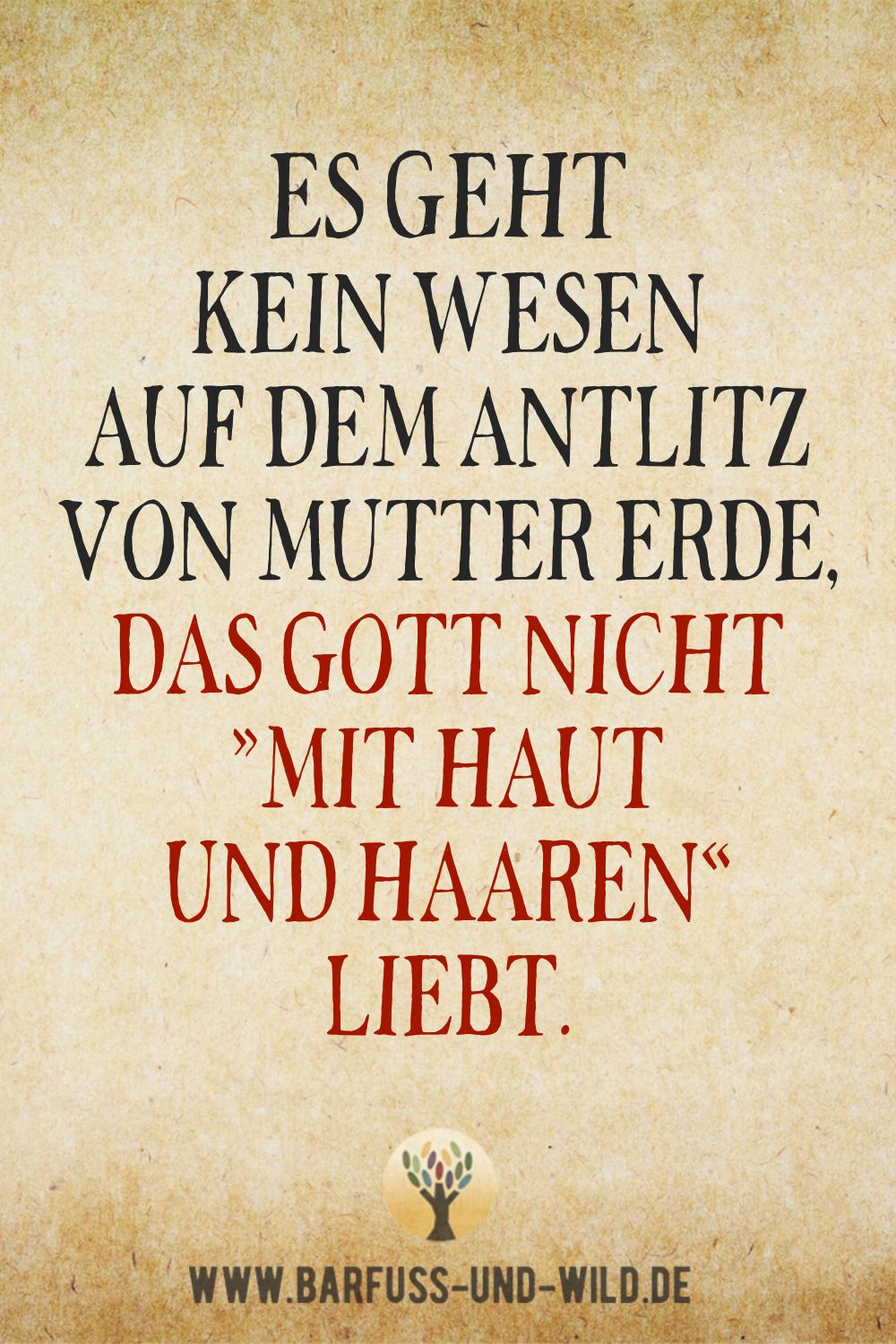 Seelenfutter Bildtafel