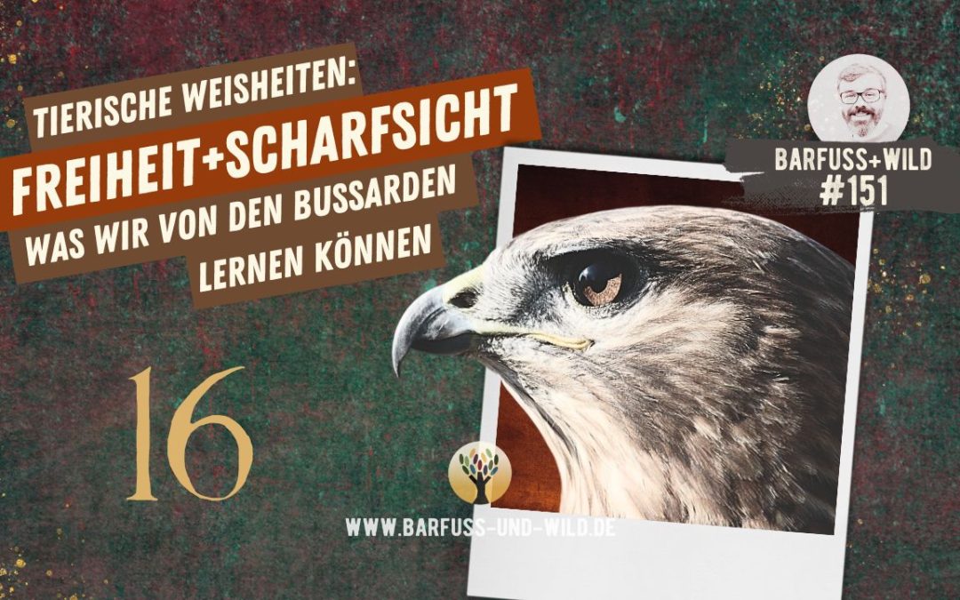 Tierische Weisheiten 16: Freiheit und Scharfsicht [PODCAST #151]