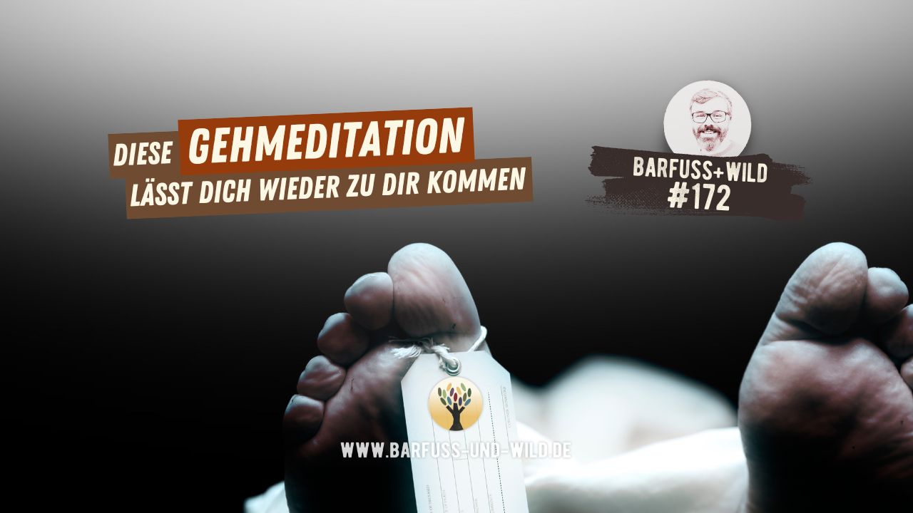 Podcast 172 - Diese Gehmeditation lässt Dich wieder zu Dir kommen ... 
