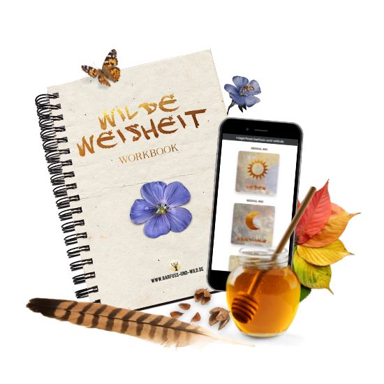 Das Workbook zum Kurs Wilde Weisheit, ein Handy mit Kurs-Abschnitten, Eine Feder, ein Honigglas und Herbstlaub
