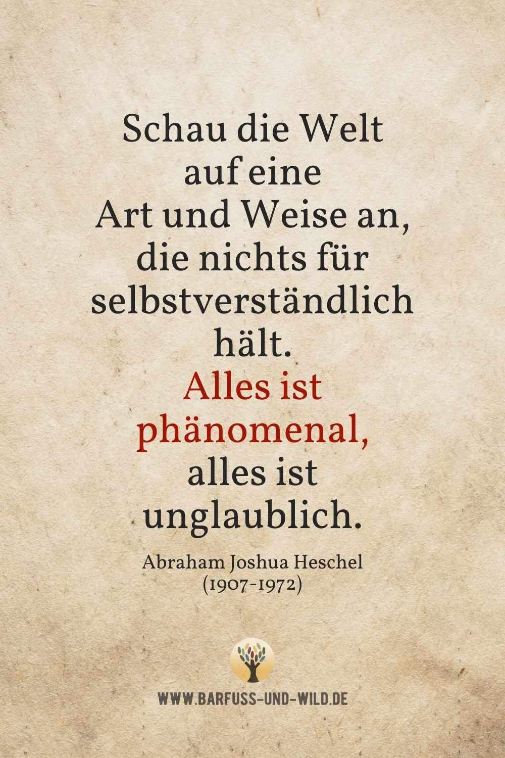 Seelenfutter Bildtafel