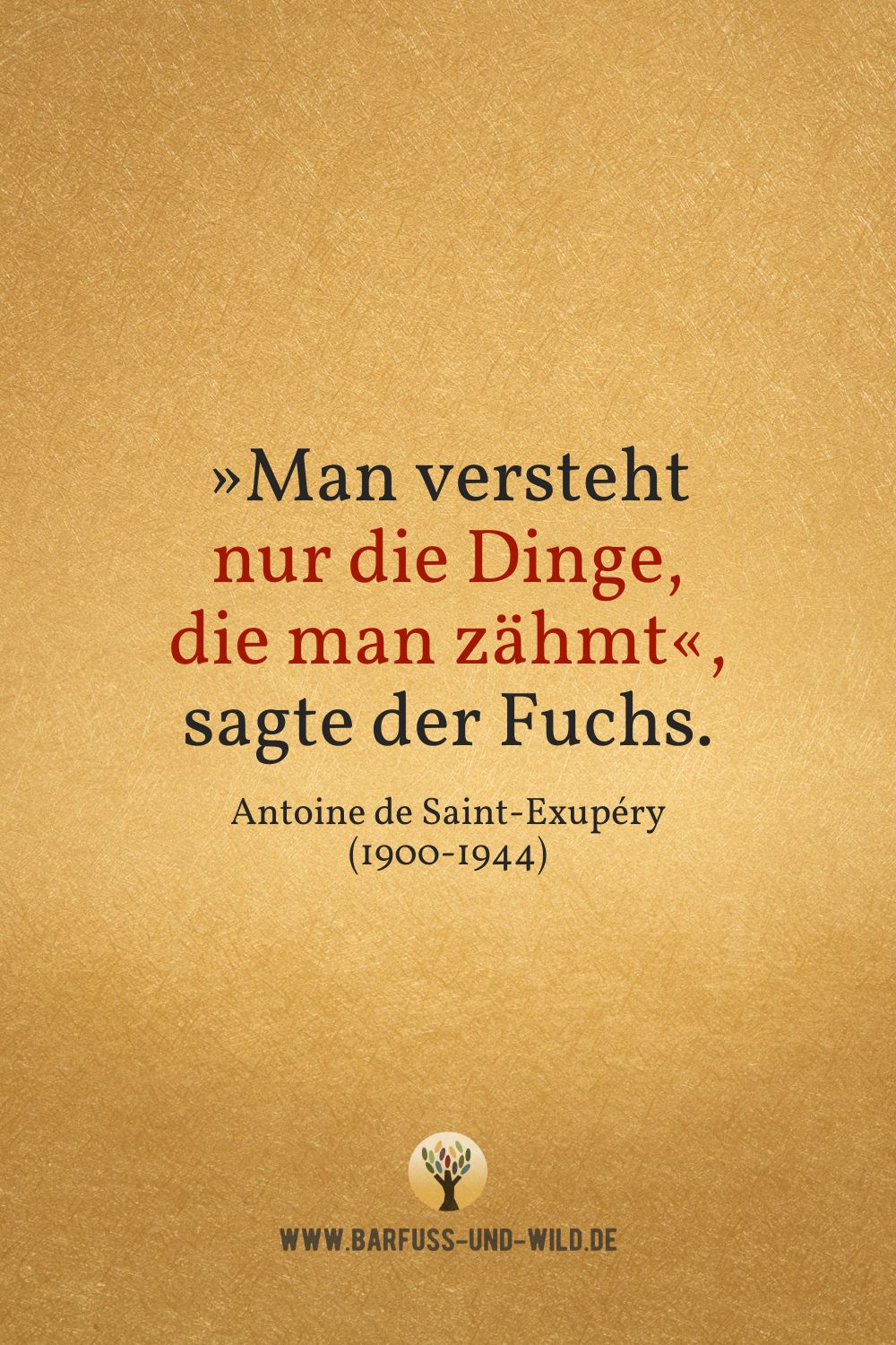 Seelenfutter Bildtafel