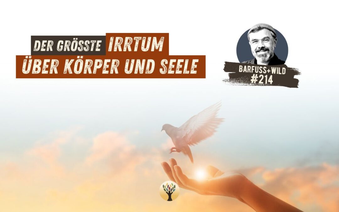 Ein kleiner Perspektivenwechsel und plötzlich macht alles Sinn … [PODCAST #214]