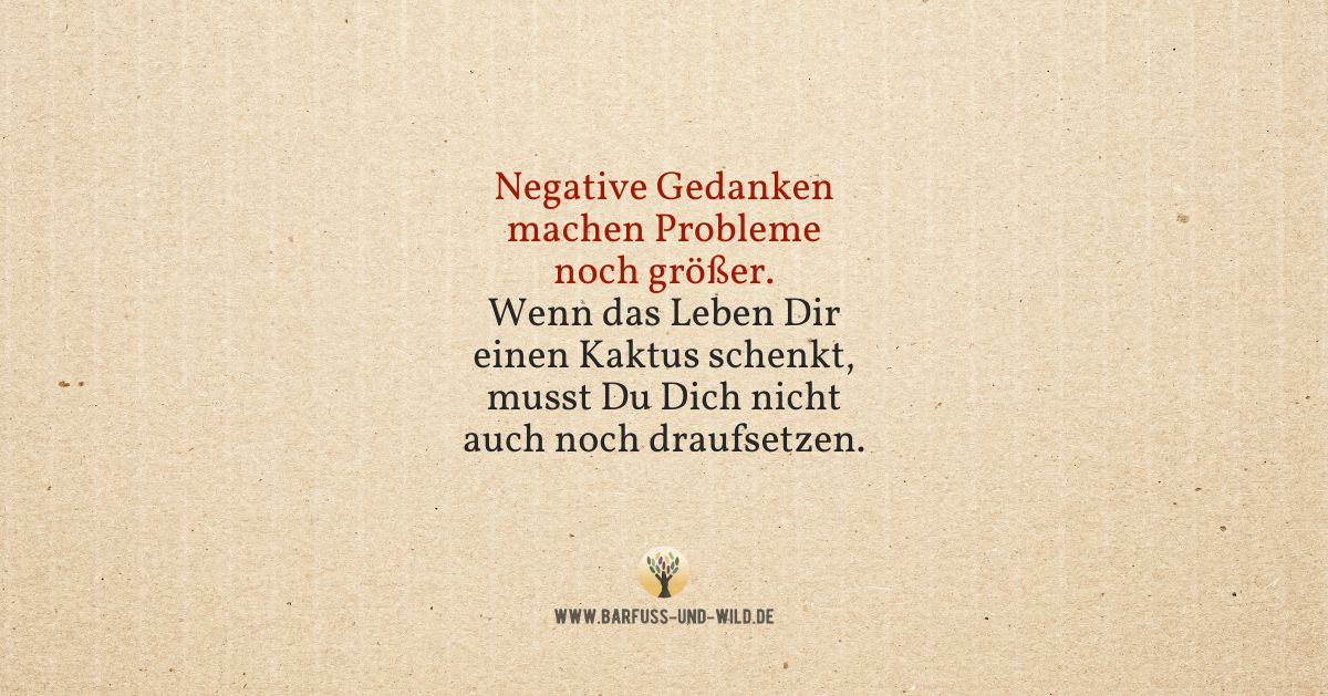 Was Du auf keinen Fall tun solltest, wenn das Leben Dir einen Kaktus  schenkt  | barfu+wild