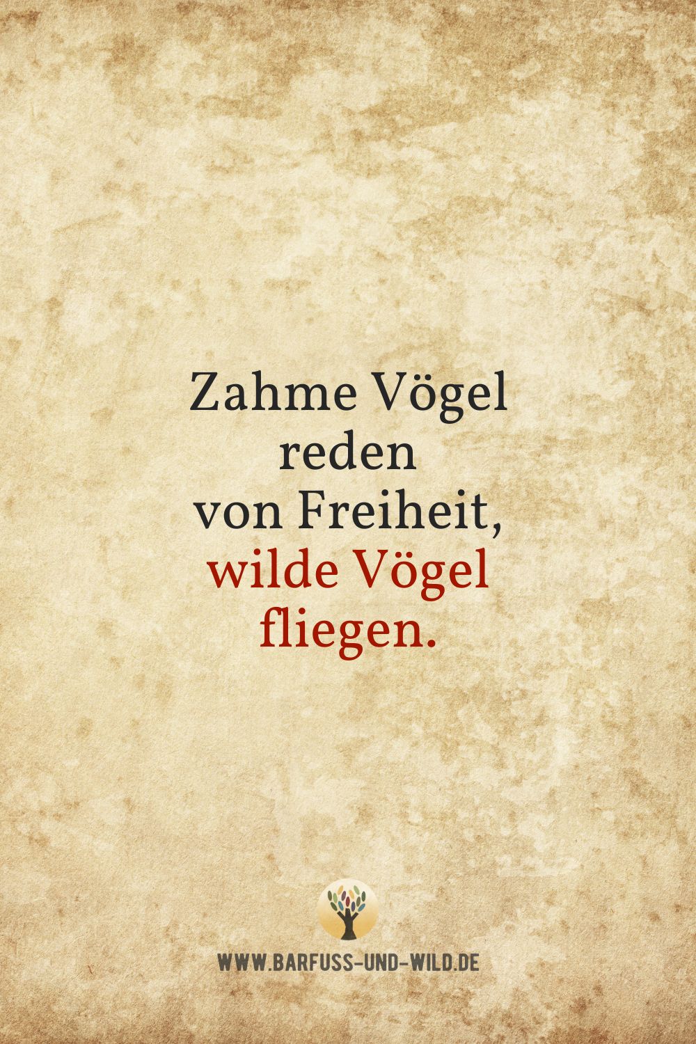 Seelenfutter Bildtafel