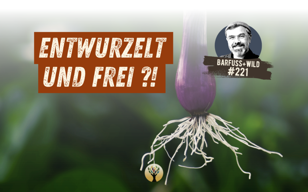 Wie und wo Du wahre Heimat findest …  [PODCAST #221]