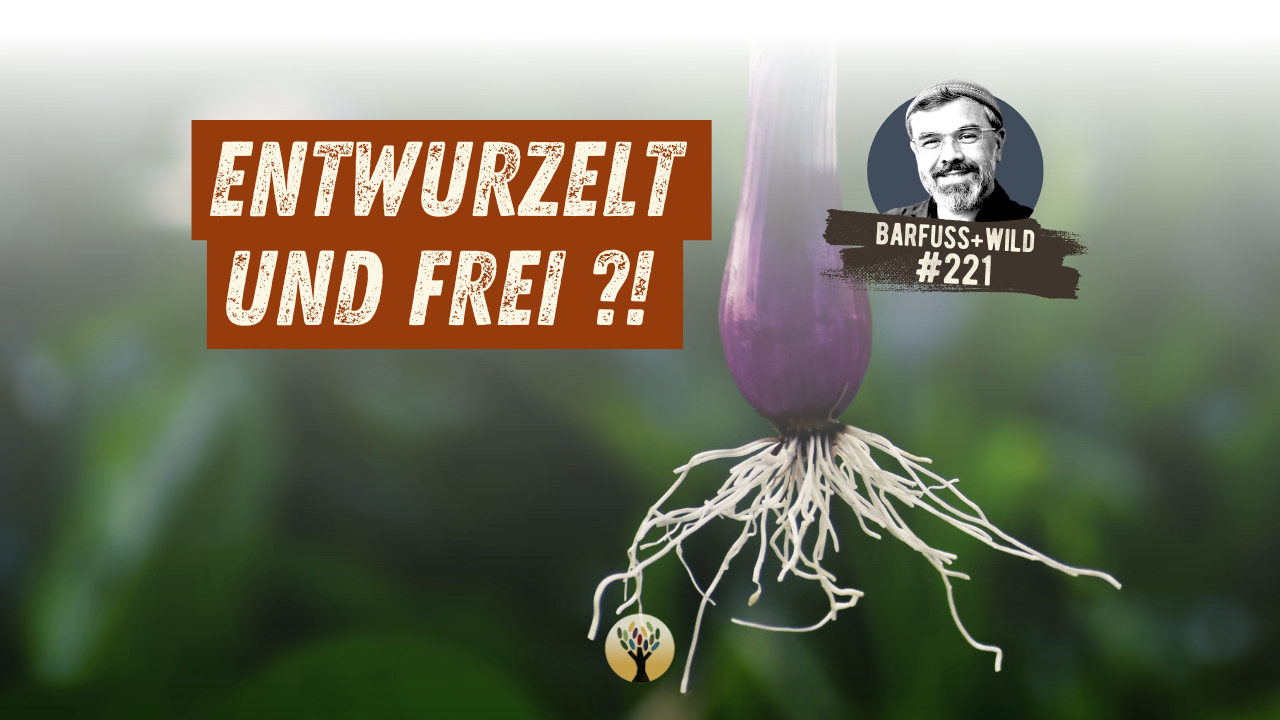 Wie und wo Du wahre Heimat findest …  [PODCAST #221]
