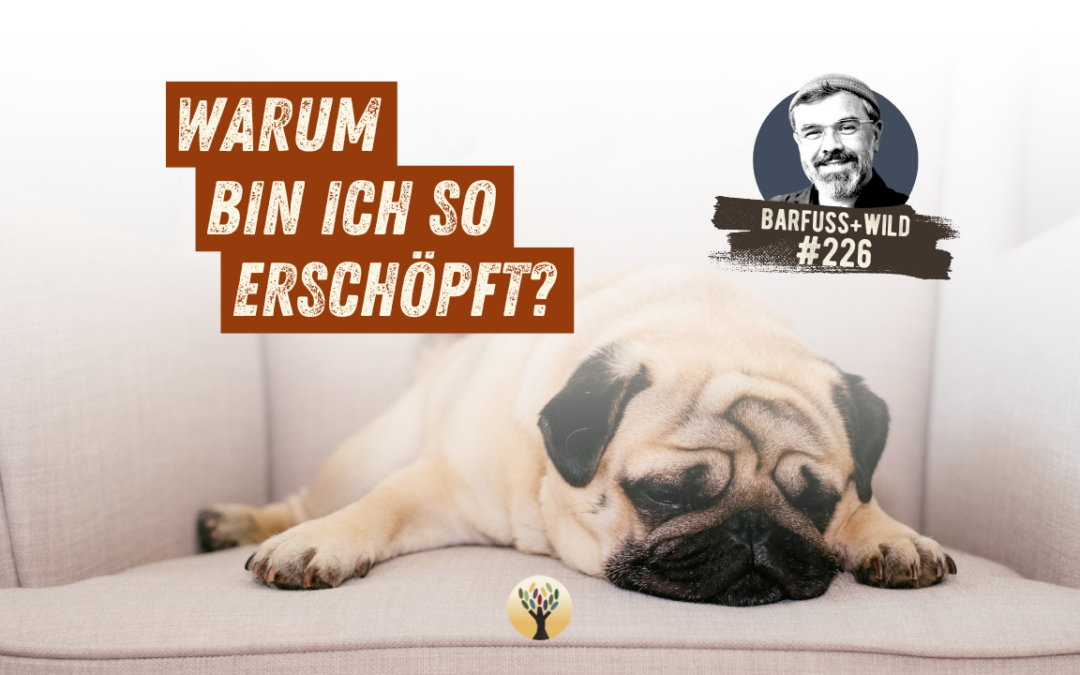 Wie Du Dein inneres Leben wieder zurückgewinnst …  [PODCAST #226]
