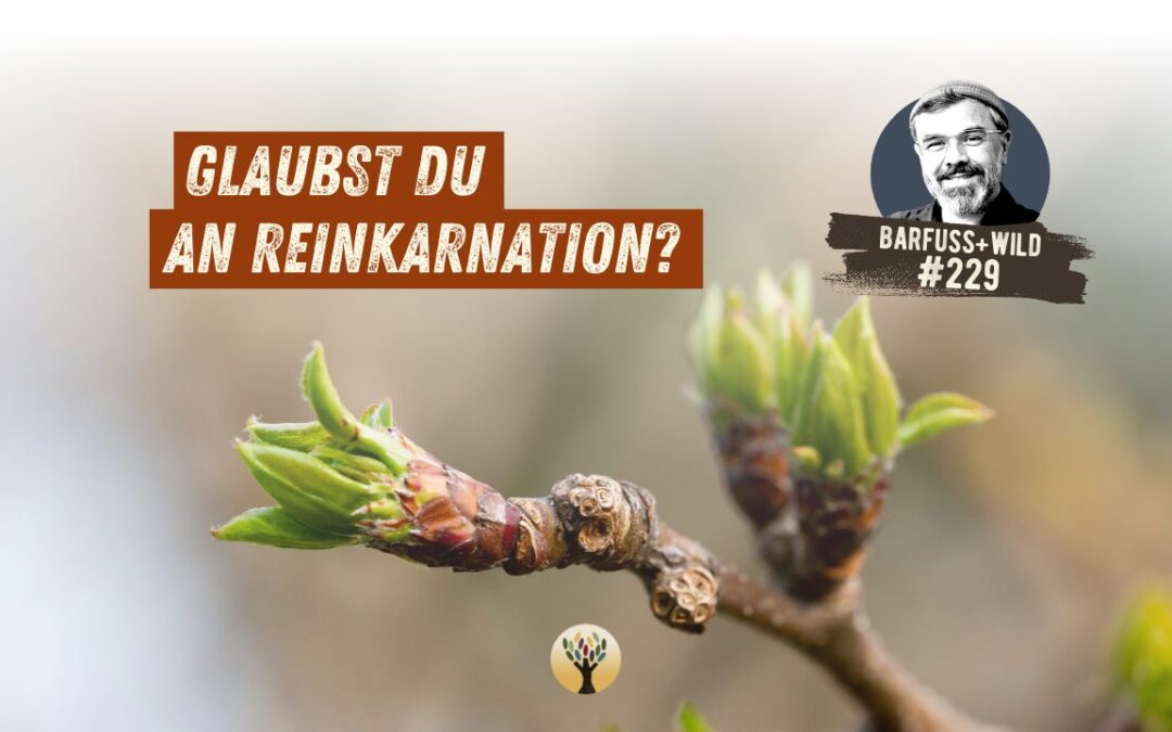 Ein Wegweiser für alle, die sich fragen, was bleibt, wenn wir (ver)gehen … [PODCAST #229]