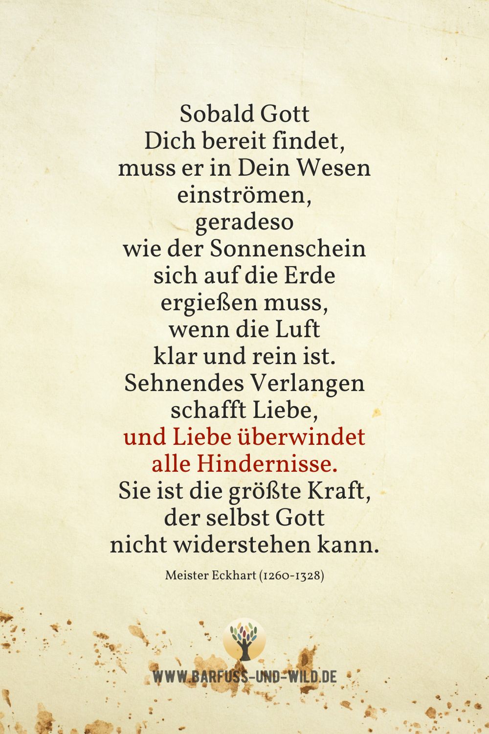 Seelenfutter Bildtafel