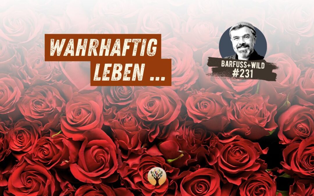 Das hier passiert, wenn Du aufhörst, um Dein Leben zu kämpfen … [PODCAST #231]