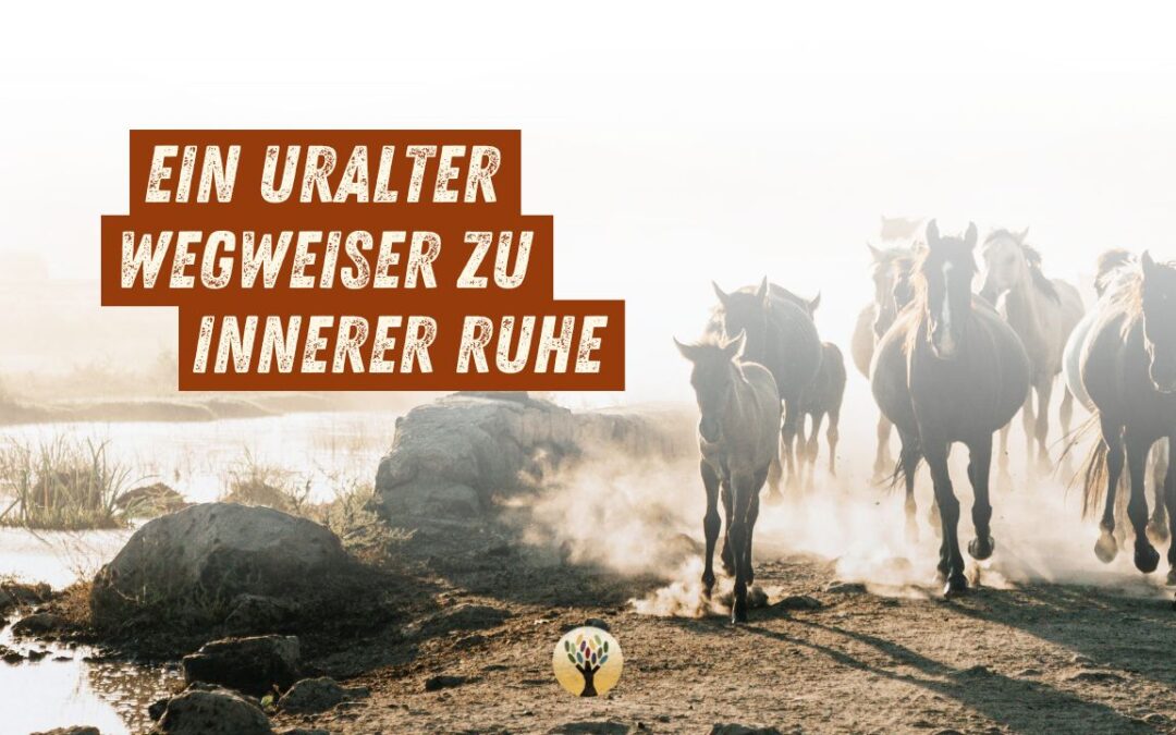 So stoppst Du Gedankenkreisen und findest zurück in Deine Kraft …  [PODCAST #234]