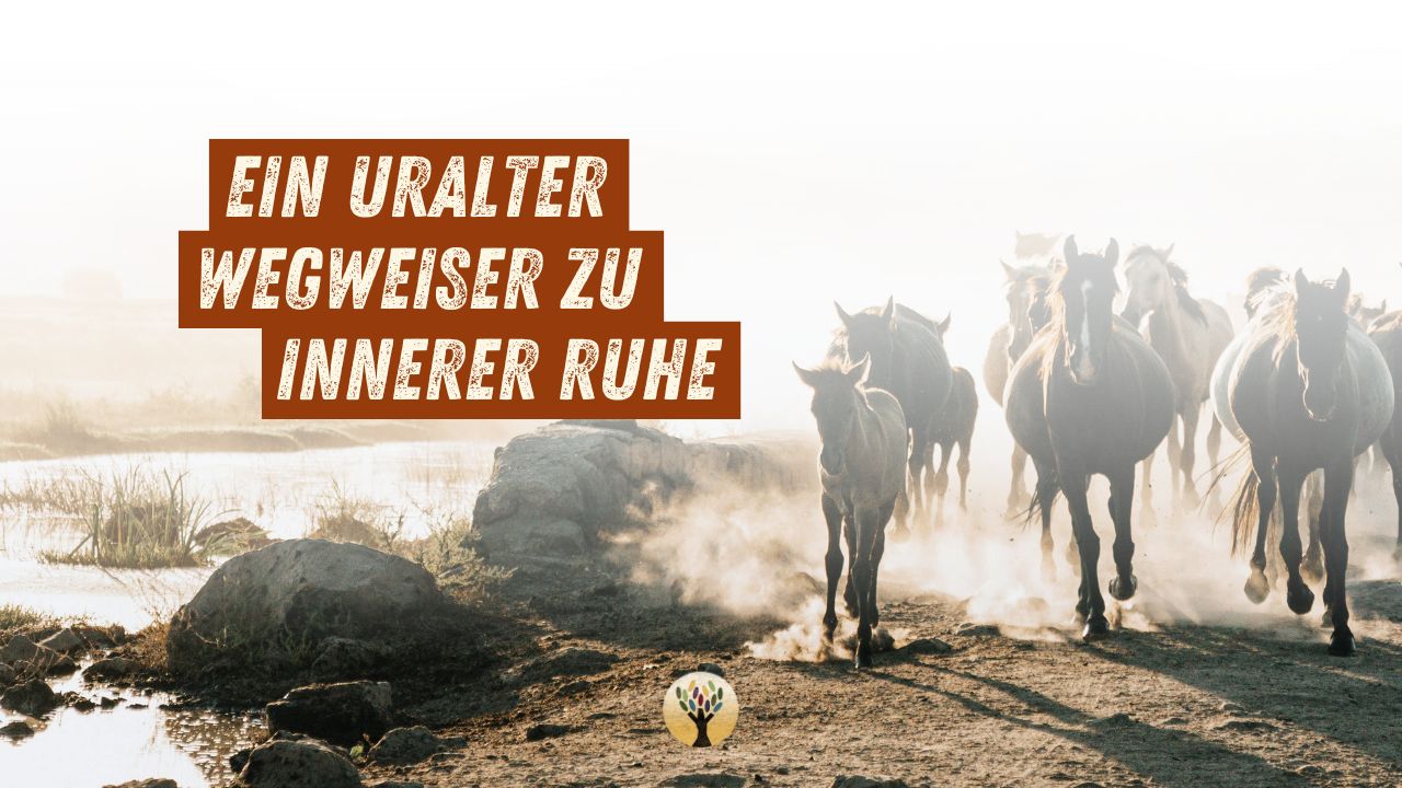 So stoppst Du Gedankenkreisen und findest zurück in Deine Kraft …  [PODCAST #234]