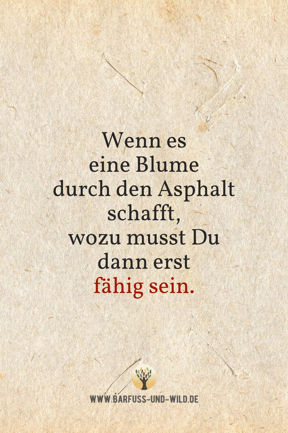 Seelenfutter Bildtafel