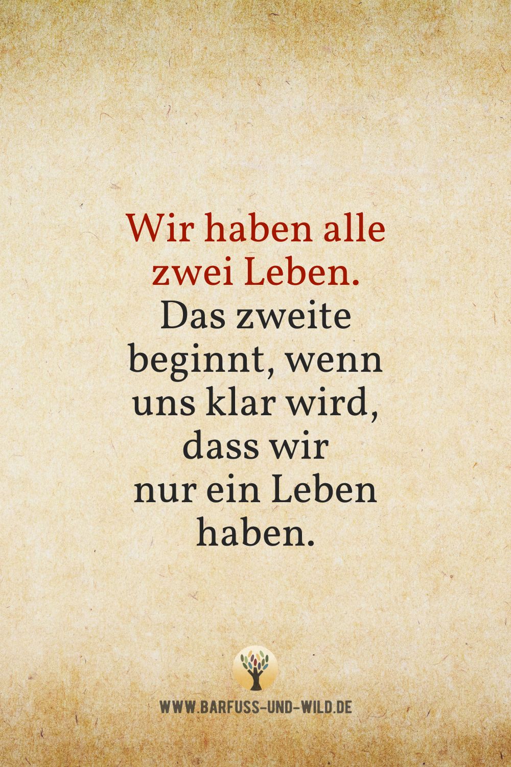 Seelenfutter Bildtafel