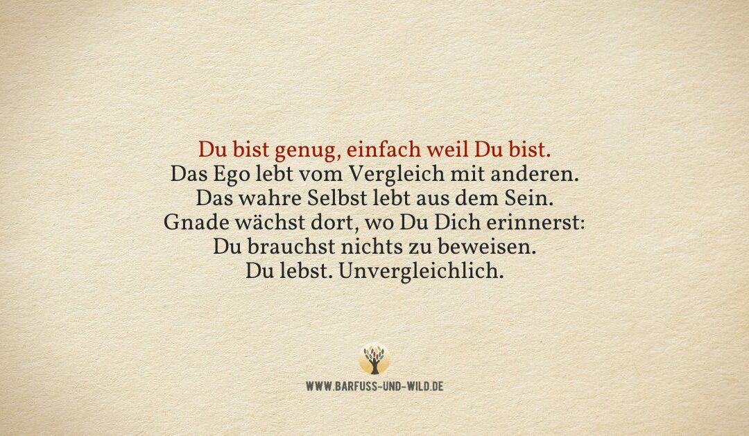 Kleine Erinnerung – im Fall von Egoattacken …