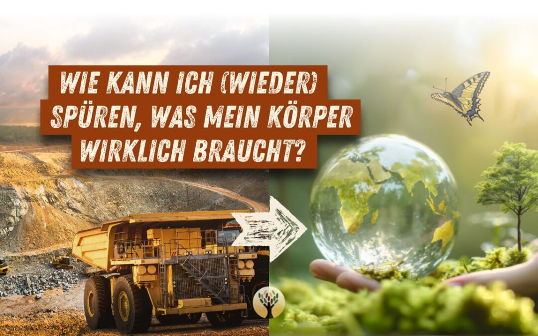 Vier Wege, wie die Natur Dir hilft, zu Dir zu kommen (und warum das auch wichtig für die Natur ist) … [PODCAST #239]