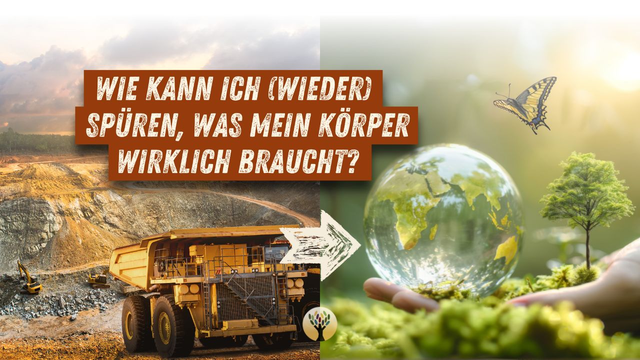 Vier Wege, wie die Natur Dir hilft, zu Dir zu kommen (und warum das auch wichtig für die Natur ist) … [PODCAST #239]