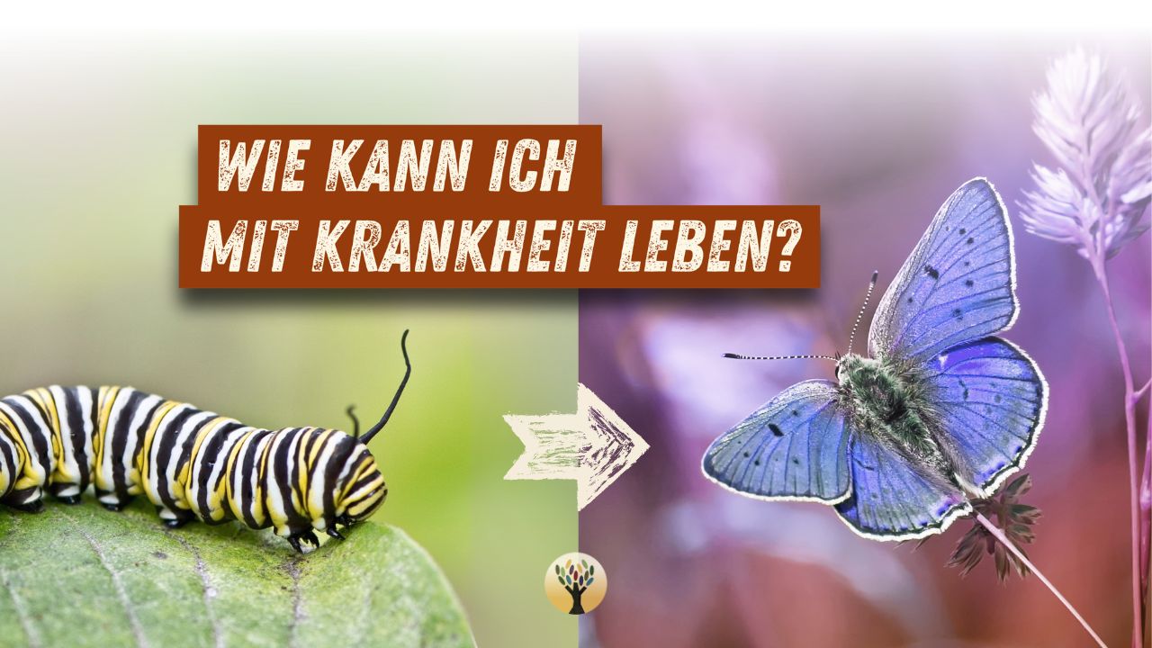 Warum »positiv Denken« bei Krankheit oft das Gegenteil bewirkt …  [PODCAST #240]