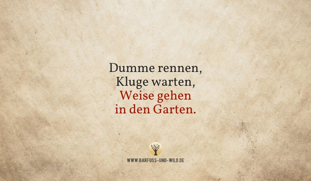 Wo stehst Du auf dem Weg zur Ältestenschaft?