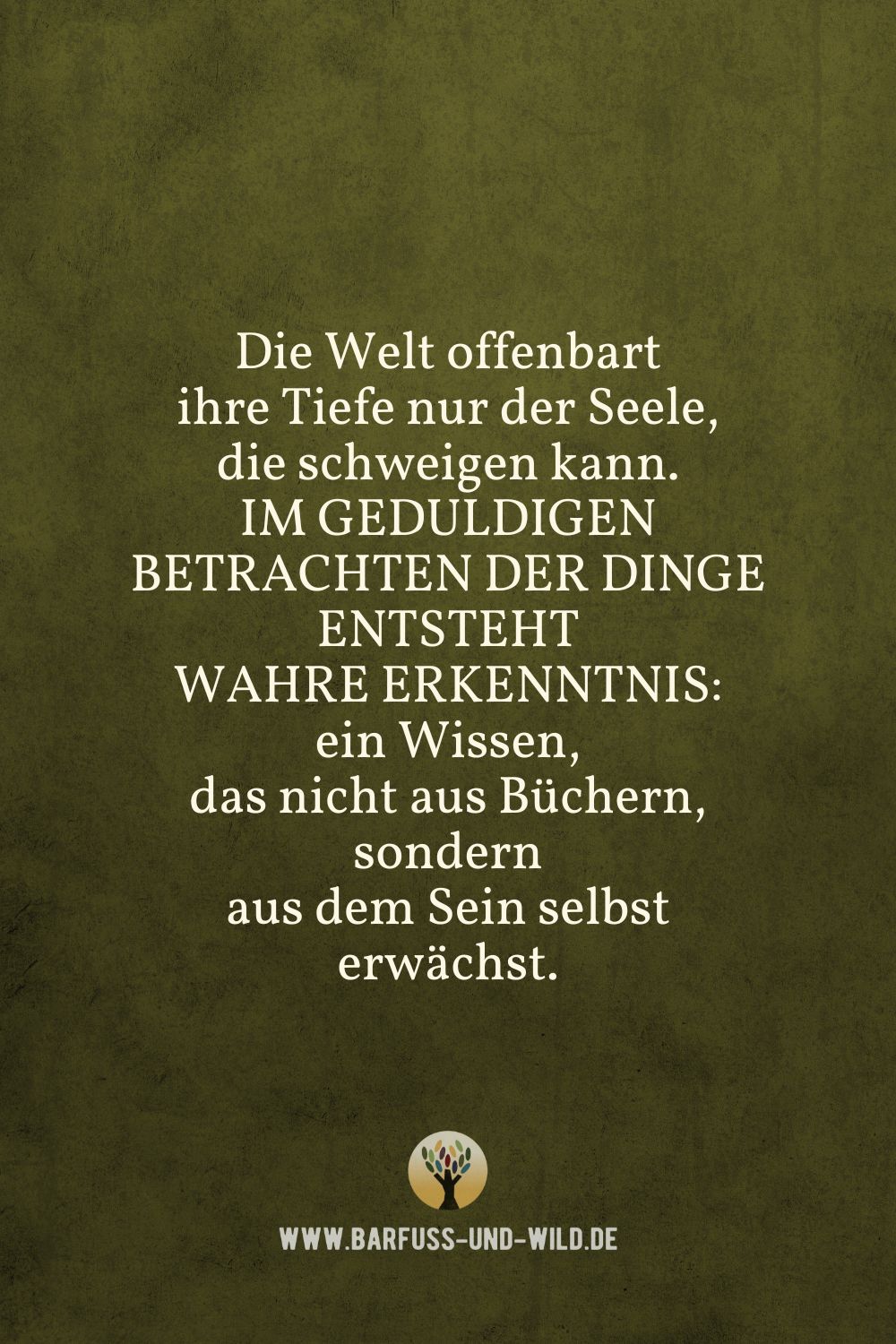 Seelenfutter Bildtafel