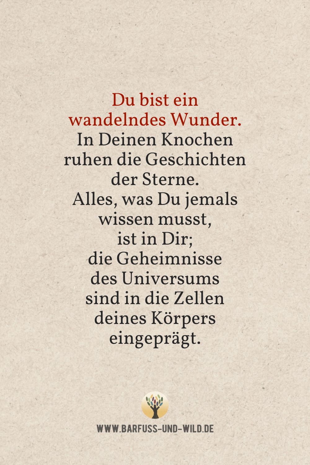 Seelenfutter Bildtafel