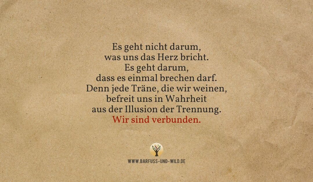 Wenn Du das Gefühl hast, dass Dein Herz bricht – schau Dir das hier an …