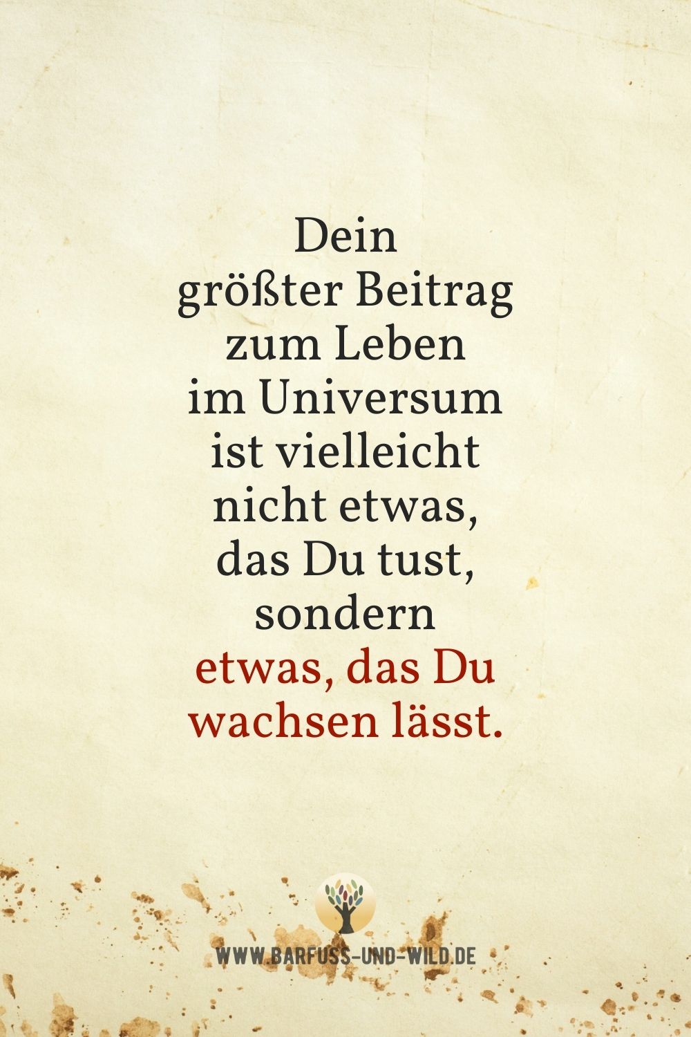 Seelenfutter Bildtafel