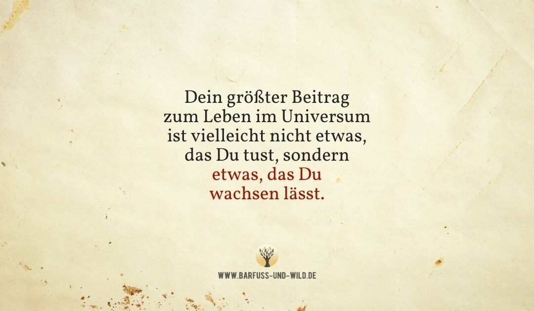 Falls Du (öfter) das Gefühl hast, dass Du etwas nicht »schaffst« …
