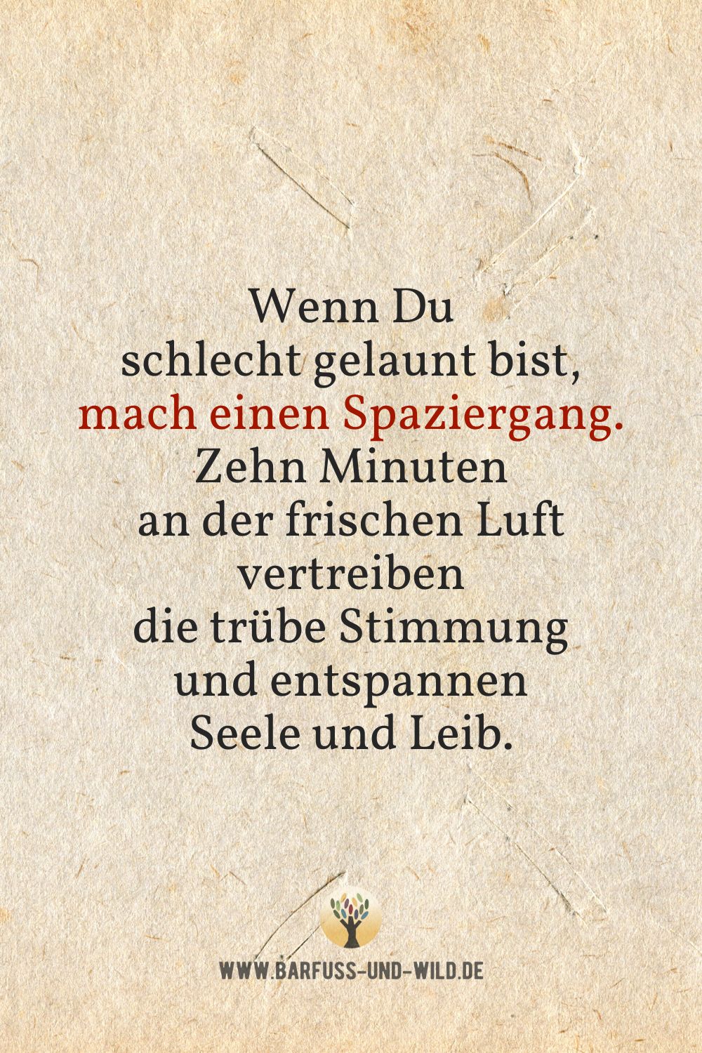 Seelenfutter Bildtafel