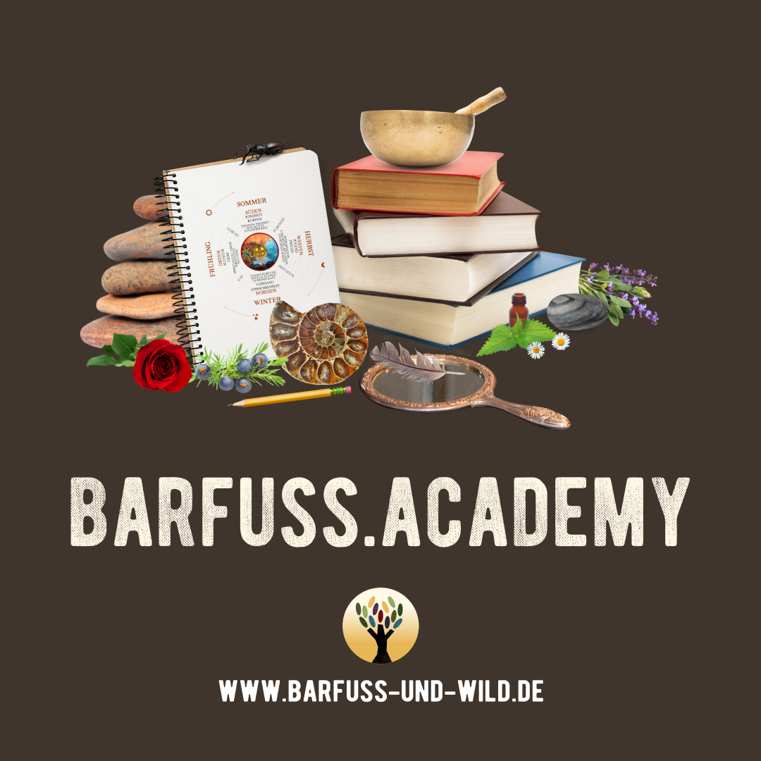 BARFUSS.ACADEMY
