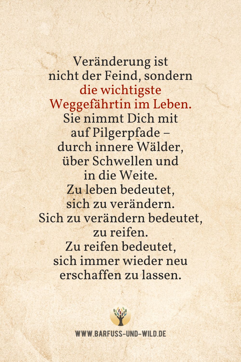 Seelenfutter Bildtafel