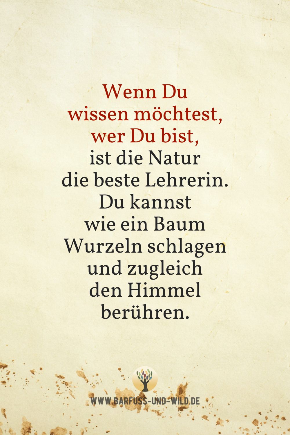 Seelenfutter Bildtafel