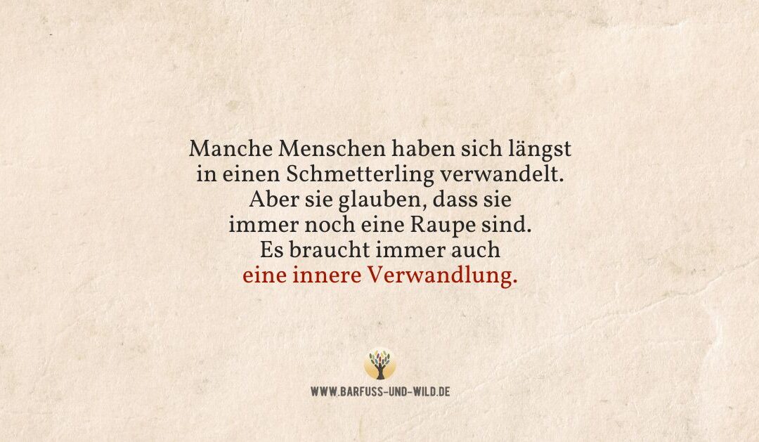 Was Du von Raupen und Schmetterlingen lernen kannst …