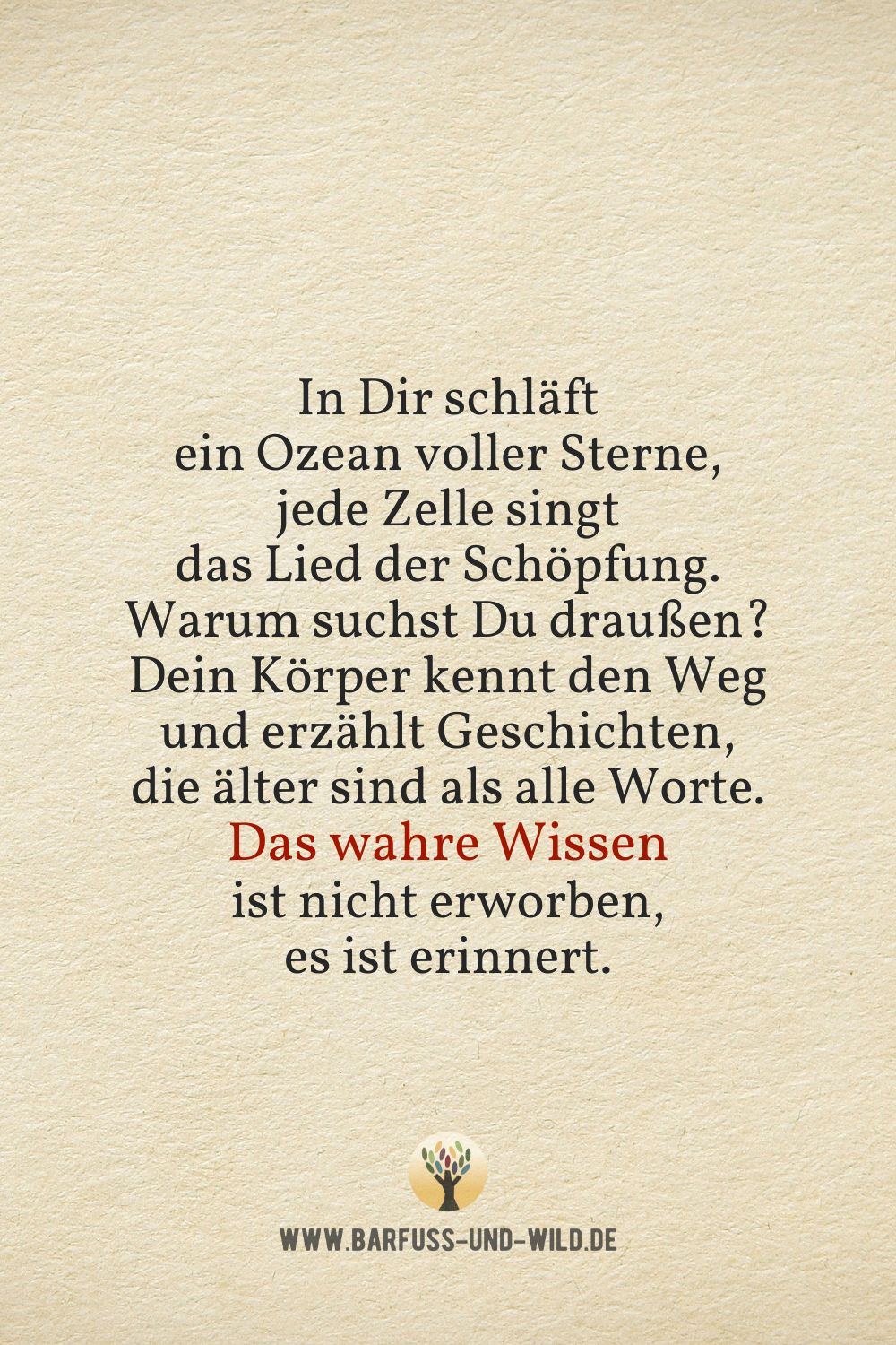 Seelenfutter Bildtafel