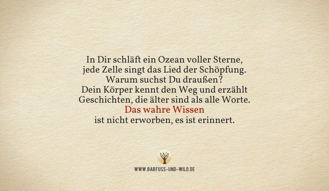 Wenn Dir alles zu viel ist, erinnere Dich an das hier …