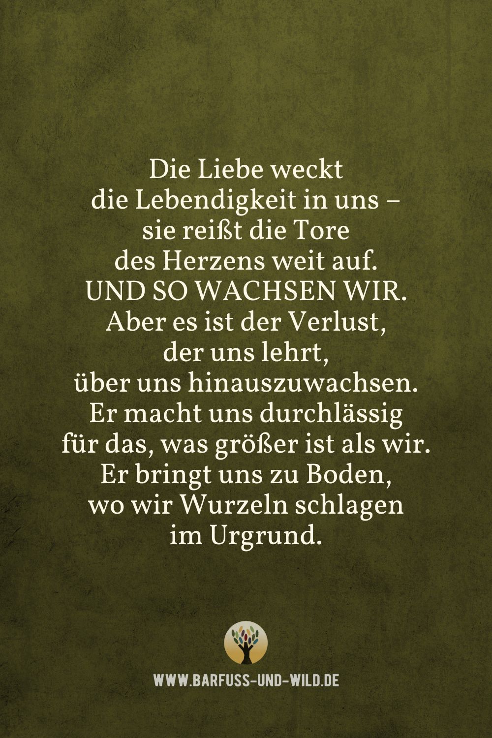 Seelenfutter Bildtafel