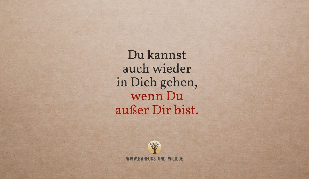 Viele vergessen das hier …