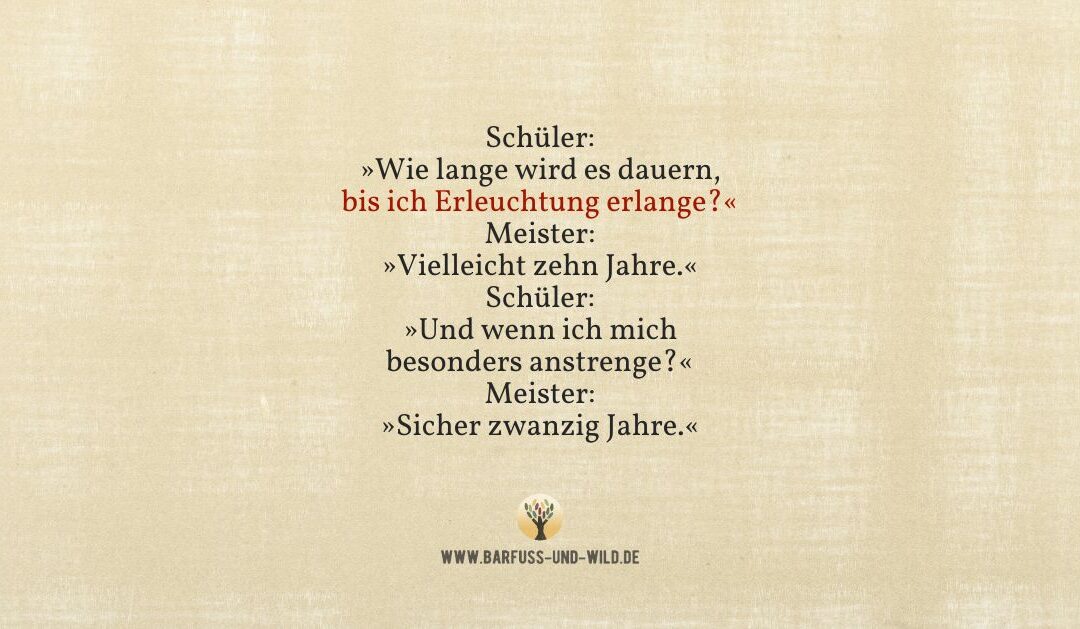 Warum Du Erleuchtung gar nicht suchen musst (und wie Du sie ziemlich sicher nicht findest) …