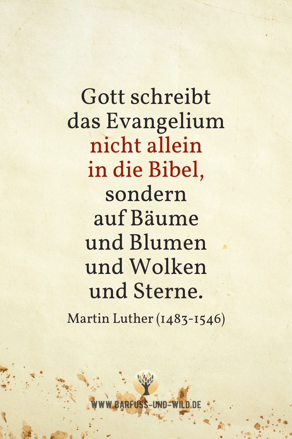 Seelenfutter Bildtafel