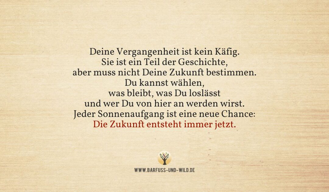 An alle, die glauben, es sei zu spät, noch einmal neu zu beginnen …