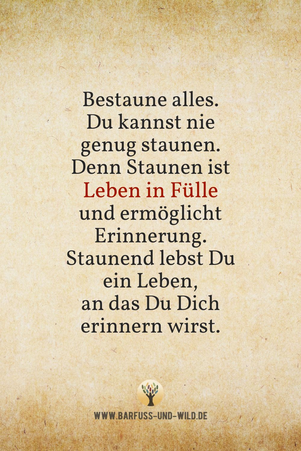 Seelenfutter Bildtafel