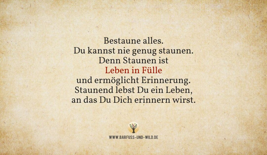 An alle, die das Gefühl haben, etwas Wesentliches im Leben zu verpassen …